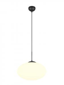Trio Leuchten Подвесной светильник FOMENTO в матово-черном цвете