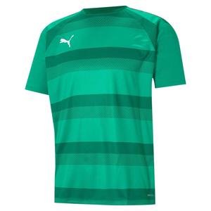 Детская футболка Puma teamVISION Jersey Jr 704928