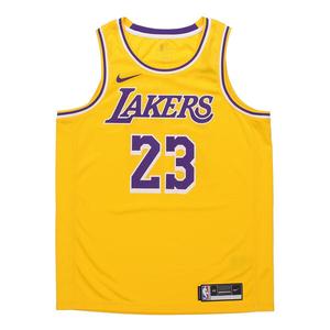 Майка Nike LeBron James Icon Edition Swingman Los Angeles Lakers Yellow, желтый