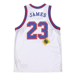 Майка Nike NBA Large Dunk 2 Space Jam LeBron James 23 Large Jersey White, белый