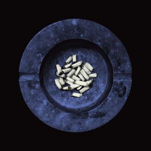 Виниловая пластинка LP Stay Alive [Lapis Lazuli Blue Vinyl] - Laura Jane Grace