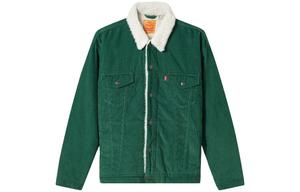 Куртка мужская зеленая Levi’S, зеленый
