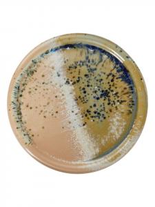 Тарелка для завтрака SINTRA синего цвета Butlers