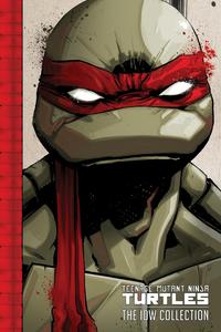 Teenage Mutant Ninja Turtles: The IDW Collection Volume 1 (IDW Publishing)