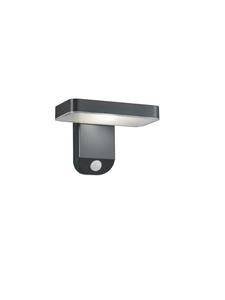 Reality Leuchten Настенный светильник ESQUEL антрацитового цвета