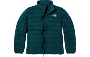 Пуховик мужской зеленый The North Face, зеленый