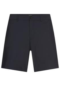 Брюки чинос REPLAY, ночной синий