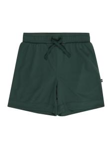 Обычные брюки GAP, Fir