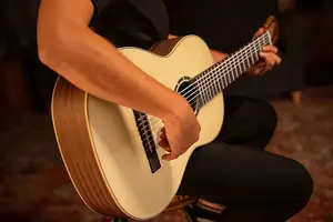 Ortega Классическая гитарa Family Series Pro с 7 струнами, цельной верхней декой из нейлона, в комплекте с чехлом