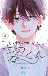 My Sister's Midori-kun 4 (Margaret Comics)