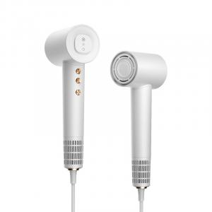 Фен с отрицательными ионами для домашнего использования, низкий уровень шума, высокая мощность воздушного потока, быстрая сушка PT SP CFJ G01 Pinktop, g01