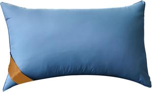 Generic Подушка для сна премиум-класса с поддержкой для всех положений Blue
