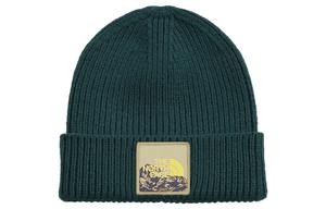 Шапка унисекс THE NORTH FACE, Green