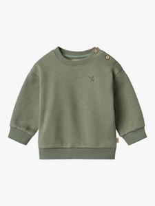 Свитшот Baby Willi WHEAT, Dusty Green