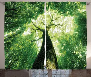 Шторы ABAKUHAUS "Деревенский пейзаж", "Летние лучи в дикой природе", универсальные ленточные шторы для гостиной с петлями и крючками, 280 x 245 см, зеленые Abakuhaus