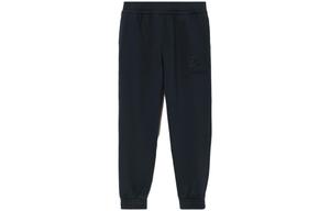 Трикотажные спортивные штаны мужские темно-синие Burberry, синий