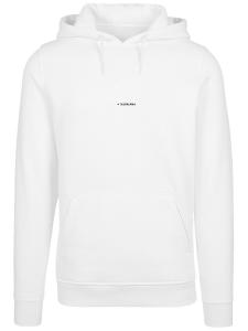 Толстовка F4NT4STIC MOUNTAIN, белый