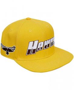 Мужская золотистая кепка Snapback Maryland Eastern Shore Hawks Evergreen Hawks Pro Standard, золотой