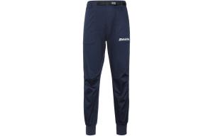 Повседневные брюки мужские темно-синие Dickies