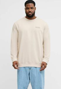 Толстовка Jack & Jones PLUS SIZE, Moonbeam/Off-White