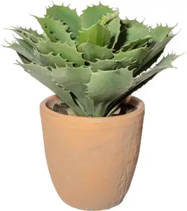 Креатив зеленый Искусственное комнатное растение "Эхеверия в терракотовом горшке" Creativ green 32 см, зеленый