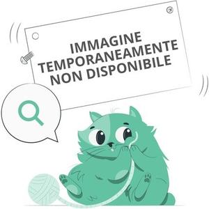 Bionike Defense Color Sun Touch Terra Compact 206 Мозаика