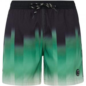 Плавки-Шорты prtbowery Protest, зеленый