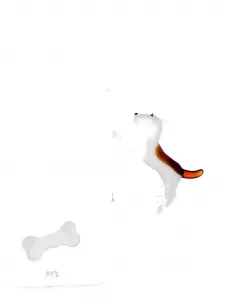 Кружка с бультерьером и косточкой Ichendorf Milano, белый