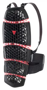 Защита спины Pro Armor 2.0 Dainese