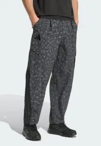 Брюки для активного отдыха aop Adidas Terrex, Grey Six/Carbon/Black