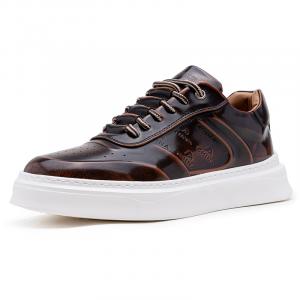 JUMP&FISH Мужские устойчивые к истиранию лоу-топ скейтбордские туфли Brown, цвет Brown