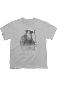 Футболка с коротким рукавом для детей "Властелин Колец" Гэндальф Серый Gildan