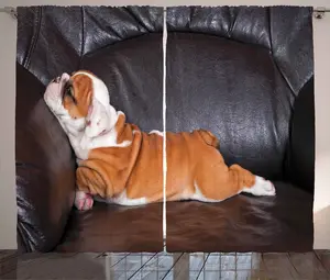 Штора ABAKUHAUS "Английский бульдог" в деревенском стиле, "Спящий щенок", универсальная, для гостиной, с петлями и крючками, 280 x 175 см, цвет: коричневый, белый, коричневый Abakuhaus