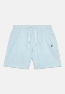Оригинальные плавательные шорты средней длины в полоску ithaca. Tommy Hilfiger, Sail Blue/Ecru