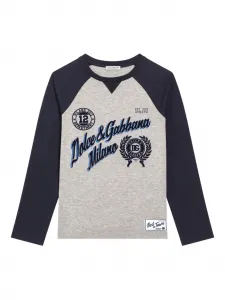 Футболка с логотипом Dolce & Gabbana Kids, серый