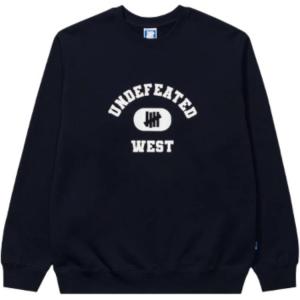 Футболка худи унисекс FW24 UNDEFEATED, синий