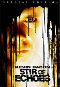 Диск DVD Stir Of Echoes