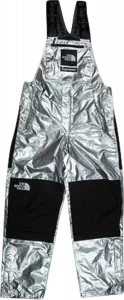 Брюки Supreme x The North Face Metallic Bib Pants 'Silver', серебряный