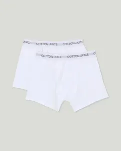 Упаковка из двух простых мужских трусов-боксеров Cotton Juice, белый