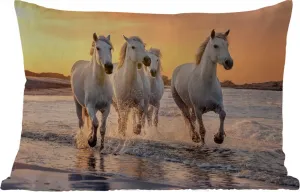 Подушка для улицы - Лошади - Солнце - Море - Пляж - Животные - 50 x 30 см - Устойчива к погодным условиям - Подушка для отдыха - Подушка для дивана - Украшение для гостиной MuchoWow