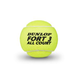 Теннисные мячи Dunlop Fort All Court Control, банка 4 шт., неоново-желтый