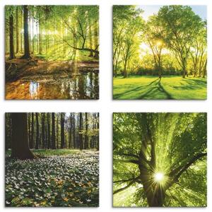 Картины на холсте Artland Set Wald Natur, 40x40x2 см, зеленый
