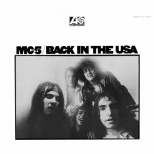 Виниловая пластинка LP Back In The USA [Crystal Clear Diamond Vinyl] - MC5