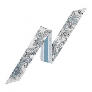 DIOR Шёлковый шарф, White/Blue