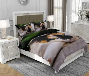 Постельное белье 160x200 см + 2x70x80 см, комплект из 3 предметов, 100% хлопок, сатин, молния, разноцветное - | So.Z0040 SOVIO