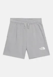 Простые спортивные шорты для подростков с купольной крышей The North Face, Meld Grey