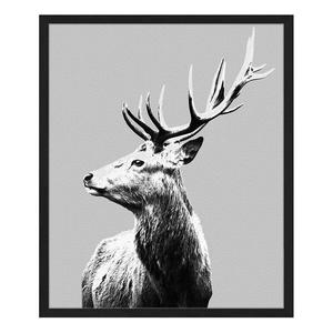 Картина Any Image Red Deer, 52x62x2,6 см