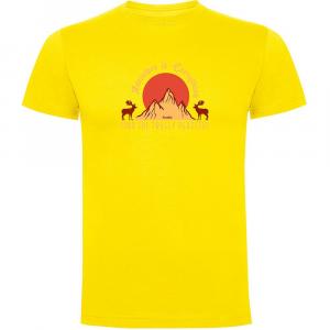 Футболка с коротким рукавом Kruskis Find The Trully, желтый