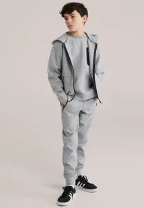 Спортивные штаны соленой собаки We Fashion, Blended Light Grey