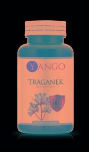 Astragalus - Астрагал (100 капсул) Inna marka